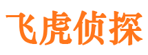 龙里市侦探公司